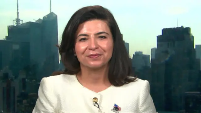 آنا مناهمی کاپلان، دو دوره است که به عضویت شورای شهر "نورت همپستد" انتخاب می‌شود