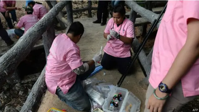 बाघों को हटाना शुरू 