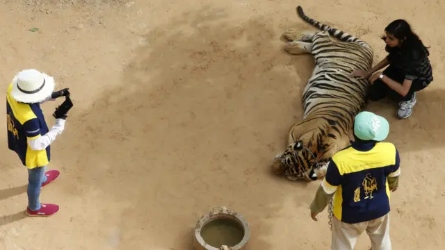 بدھ مت کے راہبوں نے پہلے تو اس کے خلاف احتجاج کیا لیکن جب انھیں عدالت کا حکم نامہ دکھایا گیا تو وہ خاموش ہوگئے۔