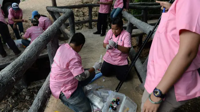 واٹ پھا ٹا بوا ٹائیگر نامی مندر سیاحوں کے لیے باعث کشش ہے اور برسوں سے جانوروں کو یہاں سے لے جانے کے خلاف مزاحمت ہو رہی ہے۔