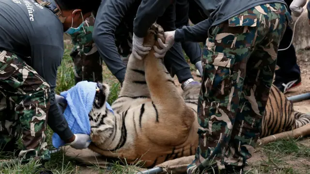 مندر میں داخلے پر کس قسم کی فیس لینے پر پابندی ہے۔