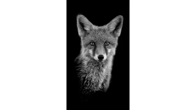 يقدم المعرض أعمالا جديدة لـ20 فنانا ومصورا فوتوغرافيا جديدا، من بينهم غوتش، ضمن معروضاتهم في الربيع.