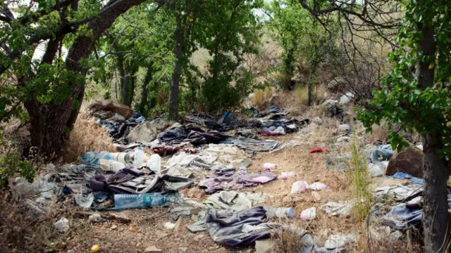 Desierto (Foto: Michael Wells)