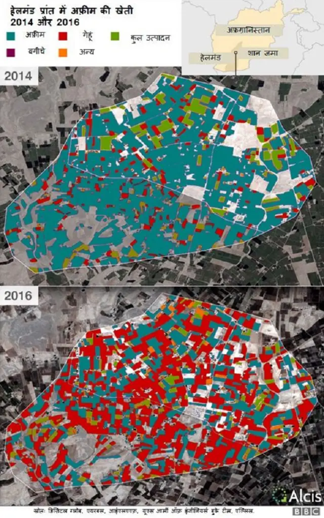 अफ़ग़ानिस्तान में अफ़ीम उत्पादन