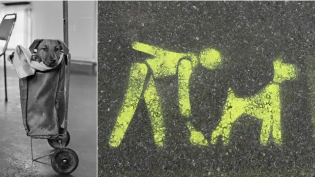 Не забудьте лишний пакет!