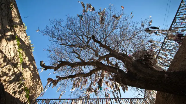 Дерево с "дарами" святой Соломонии трудно не заметить