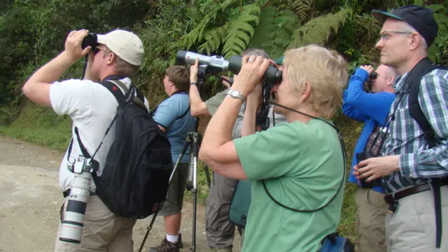 Avistamiento de aves