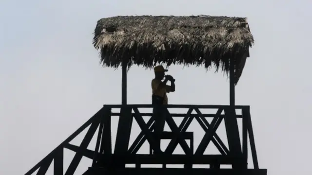 Avistamiento de aves