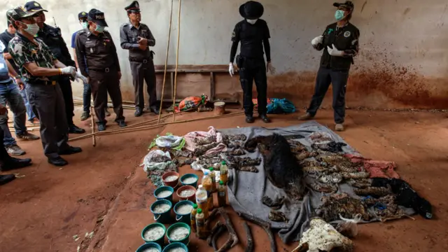 شیر کے بچوں کی لاشیں خانقاہ میں موجود فریزر سے برآمد ہوئیں اور وہاں سے ان کے علاوہ دیگر جانوروں کے اعضا بھی ملے ہیں