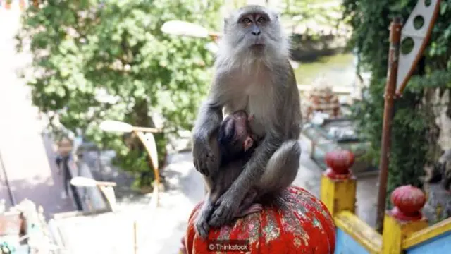 经常往返于两个大相径庭的文化之间，既要面临挑战，也可以学到很多东西。(图片来源：Thinkstock)