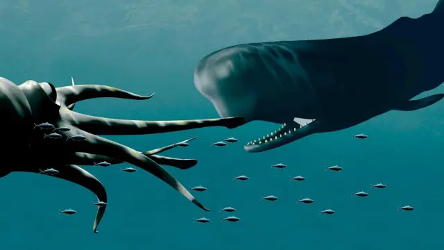 يُعثر على بقايا حبابير عملاقة بداخل جوف حيتان من نوع "حوت العنبر"