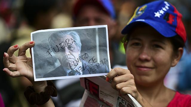 Una simpatizante del gobierno venezolano protesta contra la OEA