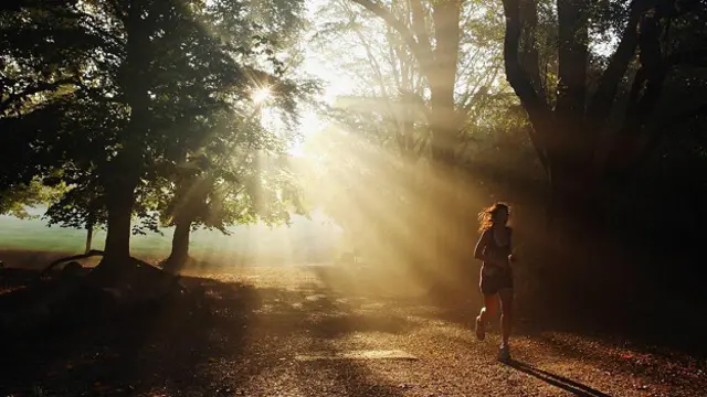 Утренняя пробежка