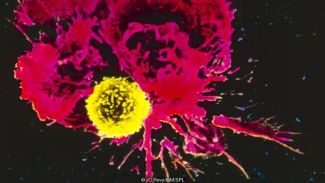 Kanser hücrelerine bir kez saldırmak yetmez, birçok kez hedef alınmaları gerekir.