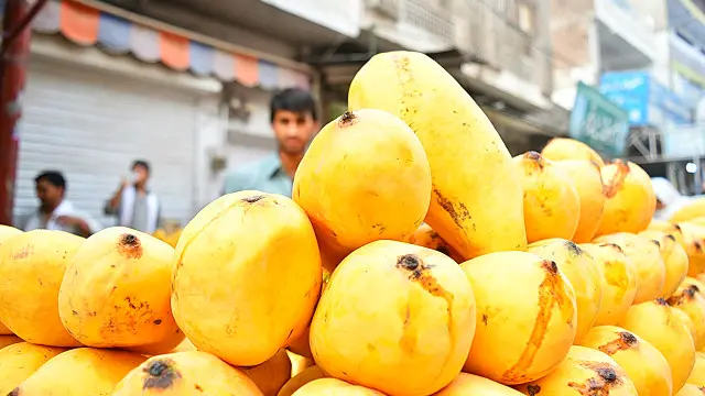 آم کے پیلے رنگ کے سامنے باقی پھلوں کے رنگ پیلے پڑ جاتے ہیں
