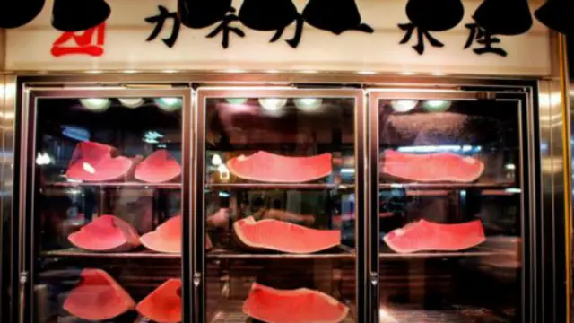 在筑地市场可以找到各种鱼