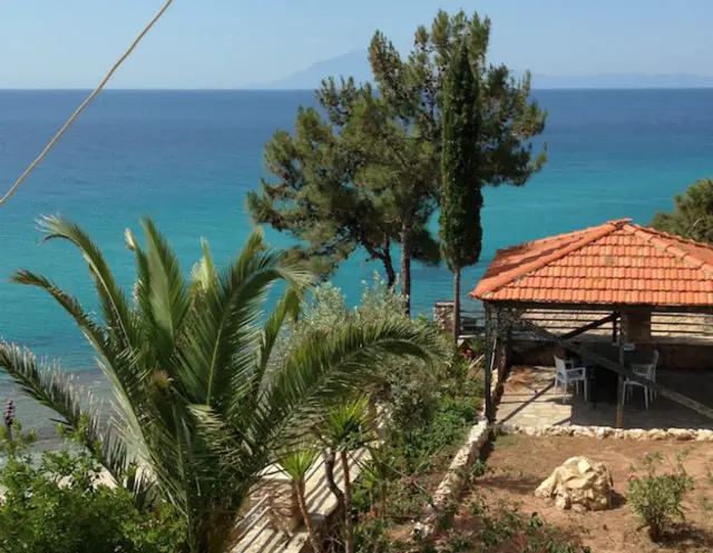 Вид из окна