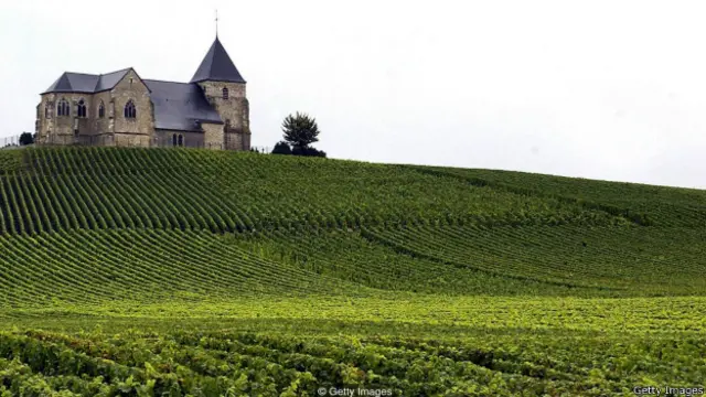 शैम्पेन