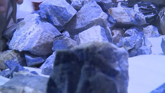 براساس این گزارش، معدن لاجورد بدخشان اکنون گروه طالبان، فرماندهان محلی و نمایندگان مجلس را همکار کرده است