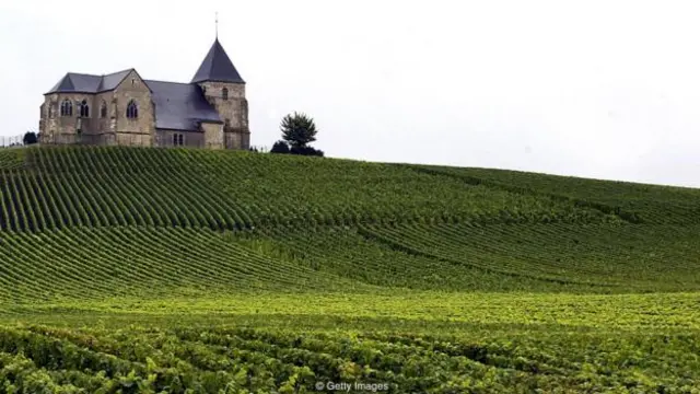 為了提升全球產量，法國香檳產區範圍將會擴大，並新劃入40個村莊(圖片來源：Getty Images)