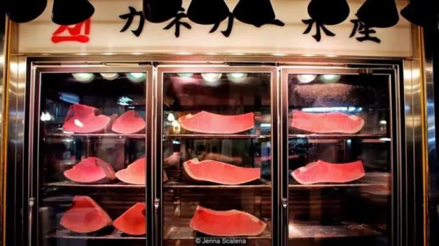 Ở Tsukiji ta có thể thấy hầu hết tất cả các loại cá (Ảnh: Jenna Scatena)