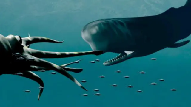 在抹香鲸体内发现的乌贼遗体残骸