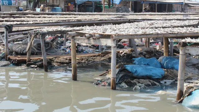 Tempat pengeringan ikan yang tergenang air.
