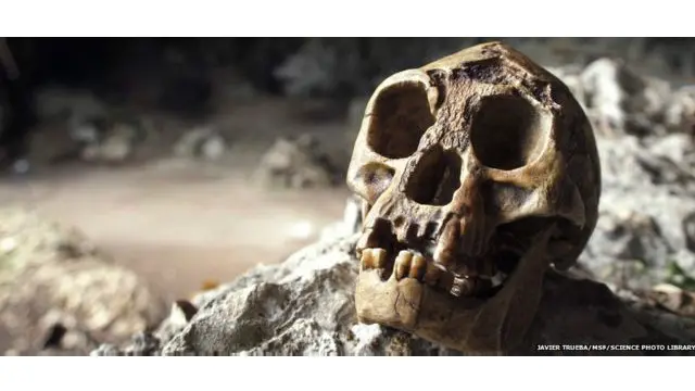 Sejarah manusia 'ditulis ulang' ketika ilmuwan menemukan manusia kurcaci 12 tahun lalu. Sekarang sejarah itu punya kejutan baru.