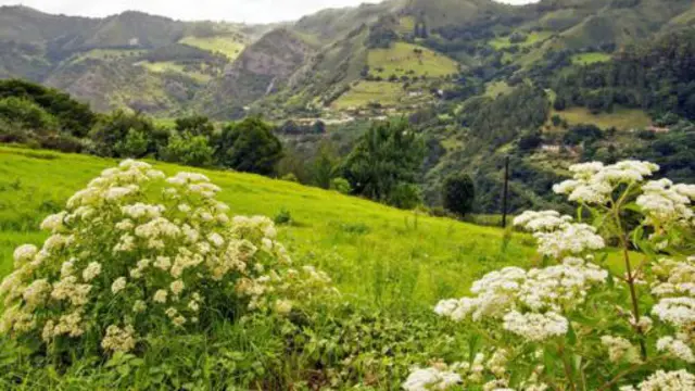 崎嶇的小島上，在周圍的山谷和懸崖頂上可以看到農田