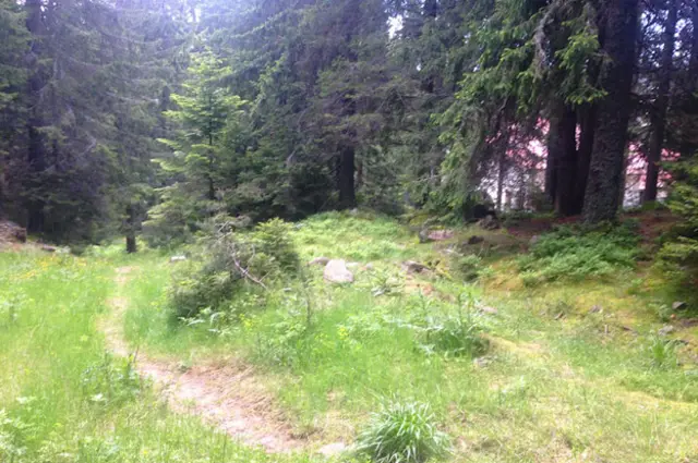 Дорога в санаторий