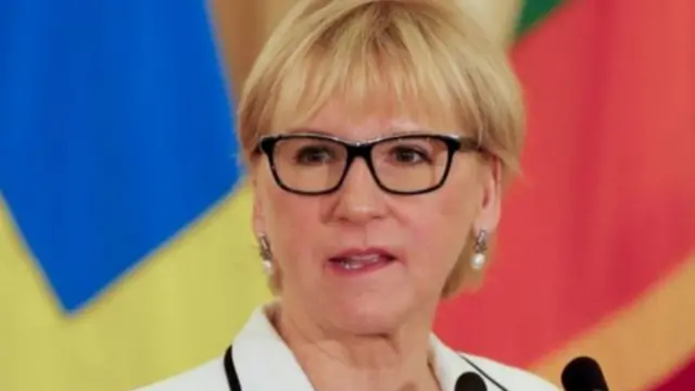 瑞典外长瓦尔斯特伦