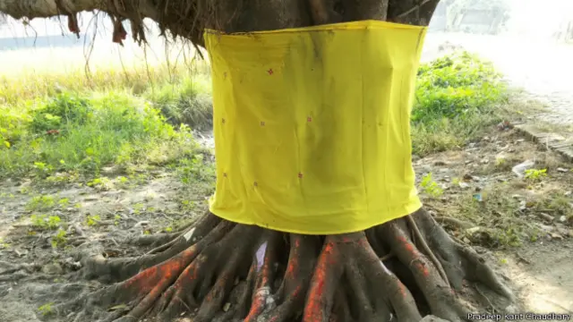 डीहवार बाबा, सदरपुर, बड़हड़िया, सिवान.