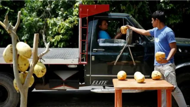 वेनेज़ुएला में आम का सीजन बिगड़ी आर्थिक स्थिति में राहत बना है