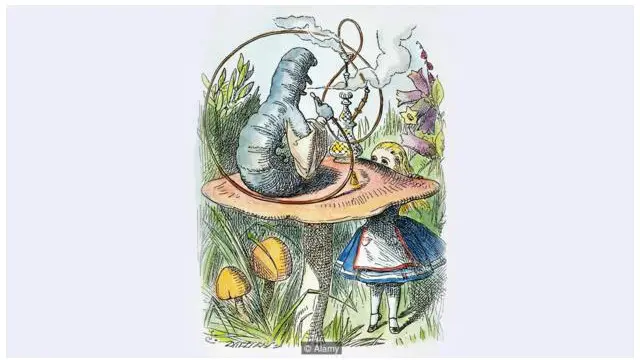 Некоторые критики сочли Гусеницу фаллическим символом - как бы то ни было, отрицать ее склонность к употреблению наркотиков невозможно