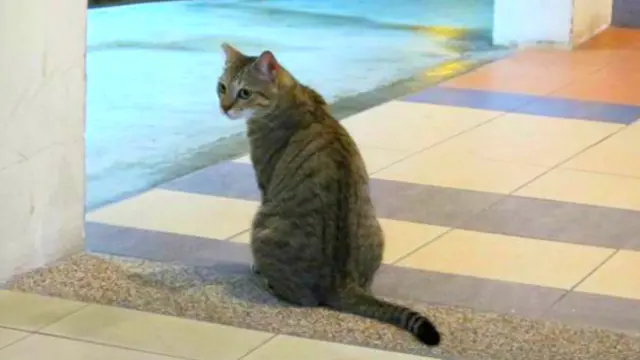 Маленькая Мулан