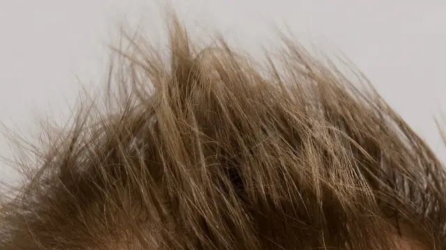 Чиє це волосся?