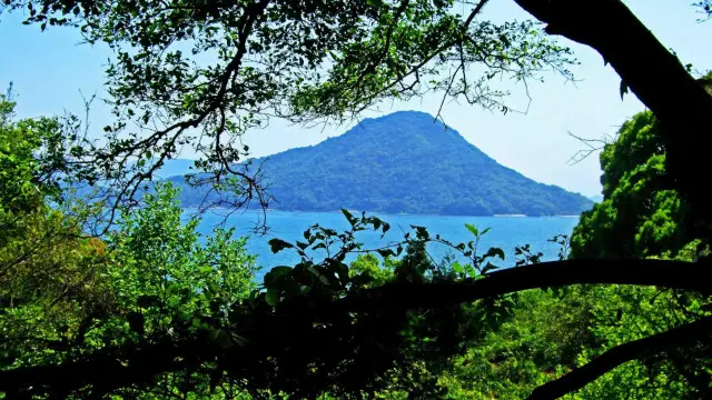 جزيرة نينوشيما اليابانية في خليج هيروشيما