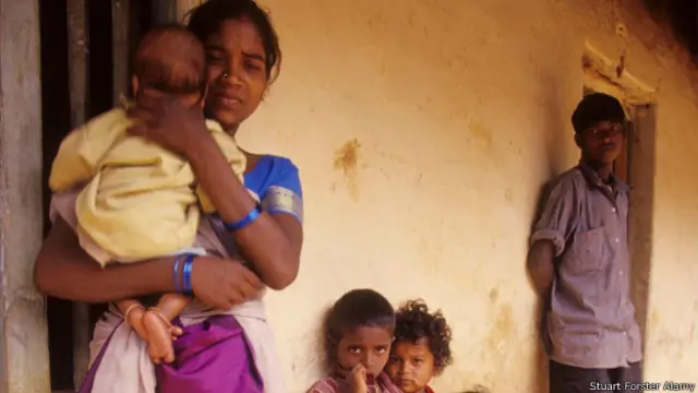 बाघों की तादाद बढ़ी