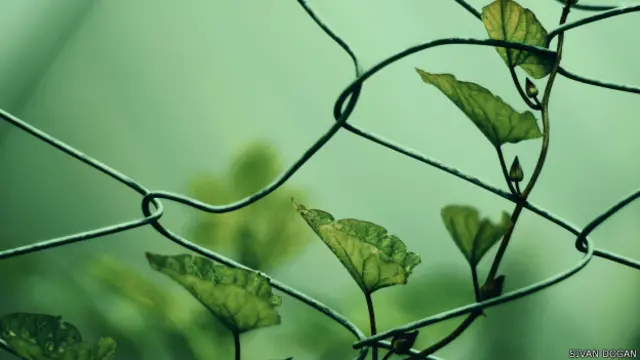 Şivan Doğan'ın Ankara Güdül'e yaptıkları günü birlik gezide çektiği fotoğraf. "Hayatımızın bariyerleri olan şehri aşıp çıkmışken" diye serzenişte bulunuyor. 