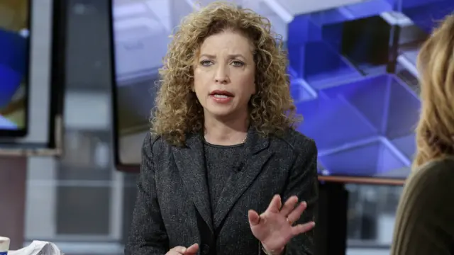 民主党全国委员会主席舒兹