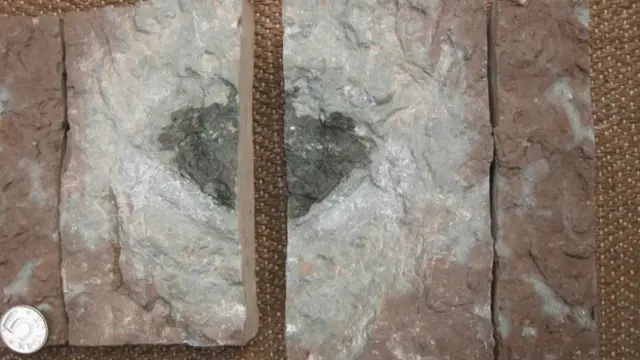 اس شہابی پتھر کا نام اوسٹرپلانا 65 رکھا گیا ہے