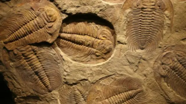 ڈاکٹر سکمٹز کے مطابق شہابی پتھر کی پہلی باقیات انھیں کان میں فالتو اشیا کے ڈھیر سے ملی تھی