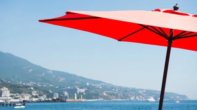 Российская власть предпочла решить вопрос с Крымом, воспользовавшись закрытым соцопросом - тем самым воплотив идеал шумпетеровской демократии