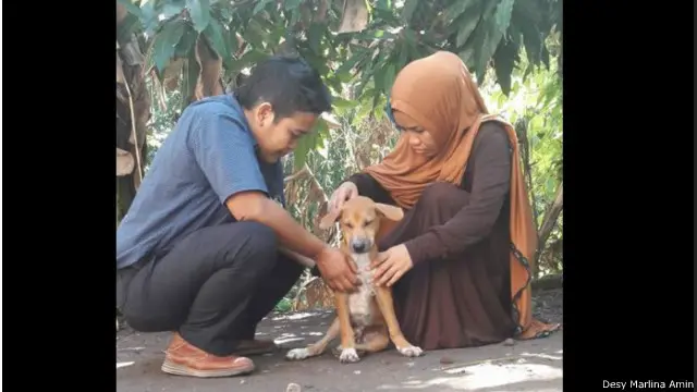 Desi mengaku menyukai anjing sejak kecil karena ibunya memelihara empat ekor di rumah. 
