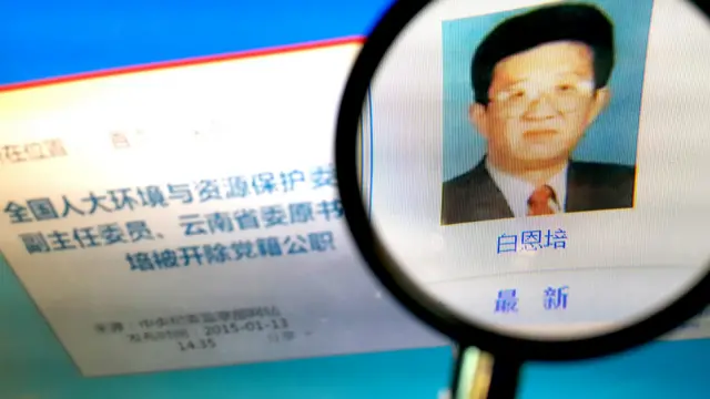 白恩培公開資料截屏