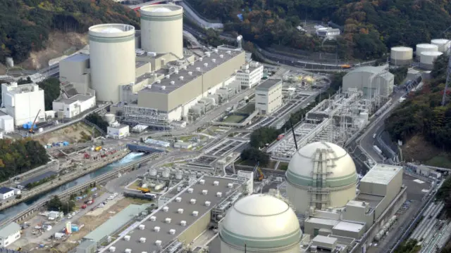 Reaktor nuklir di Fukui