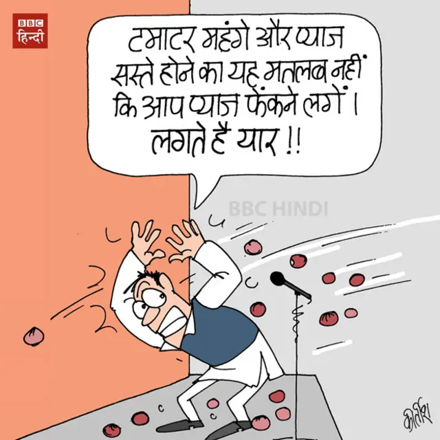 bbc hindi, cartoon, kirtish, onion, tomato