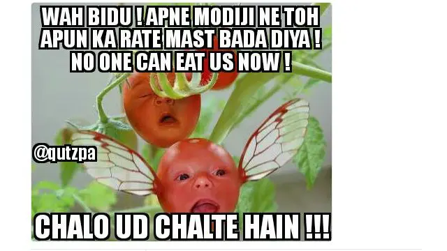 उड़ता टमाटर