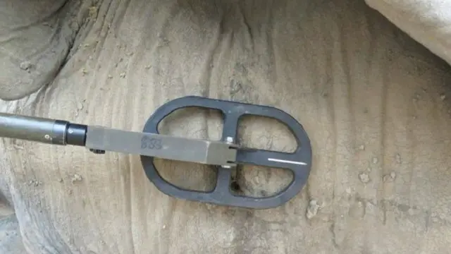 استُخدم كاشف للمعادن من أجل مسح رأس الفيل واكتشاف وجود الرصاصة.