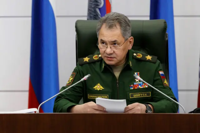 Визит Шойгу состоялся "по поручению" российского президента Владимира Путина" 